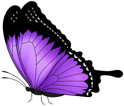 free purple butterfly clipart 10 free Cliparts | Download images on ...