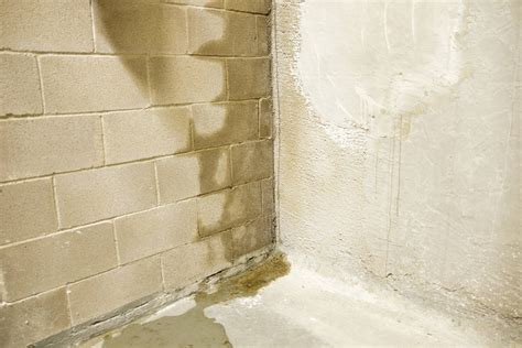 How To Fix A Leaky Basement Wall From The Inside - uooz.com