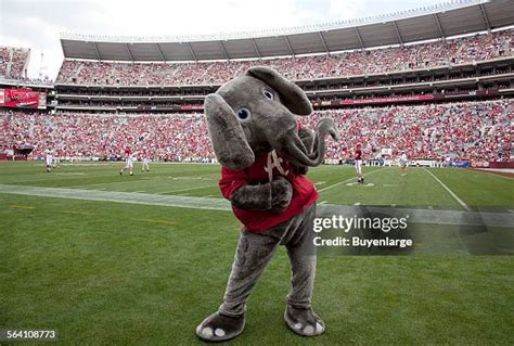 Alabama University Mascot Photos and Premium High Res Pictures - Getty ...