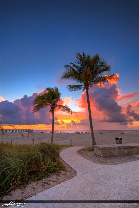 Coconut Tree Sunrise Pompano Beach Pier | HDR Photography by Captain Kimo