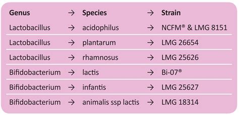 A Guide To Our Range of Live Bacteria - Nutri Advanced