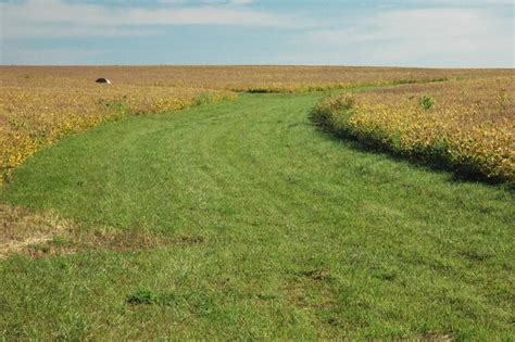 Grassed Waterway | Iowa Agriculture Water Alliance