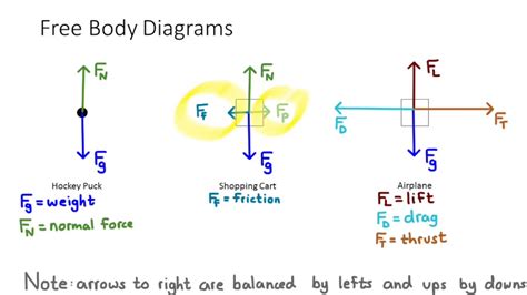 [DIAGRAM] Newtons 1st Law Diagram - MYDIAGRAM.ONLINE