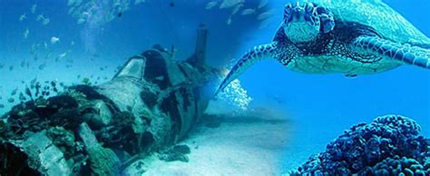 Oahu Scuba Diving Tours - Hawaii Discount