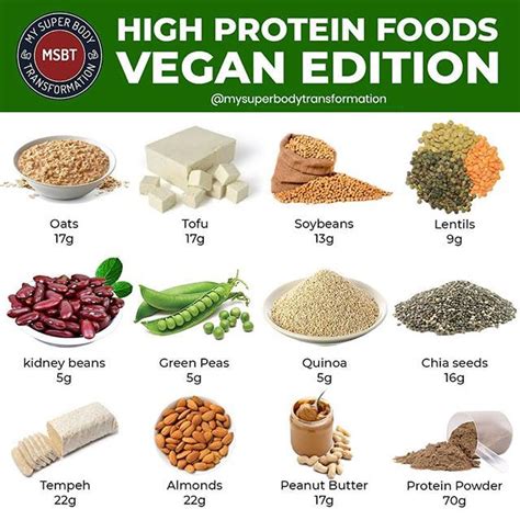 High Calorie High Protein Plant Based Diet | Home and Garden Reference