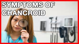 Early Signs and Symptoms of Chancroid or Soft Chancre. Treatment and ...