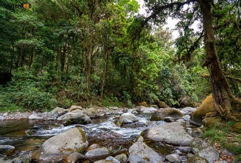 San Gerardo de Dota: The Magical Cloud Forest Town