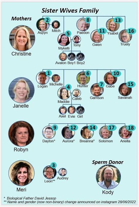 We need an updated family tree!! : r/SisterWives