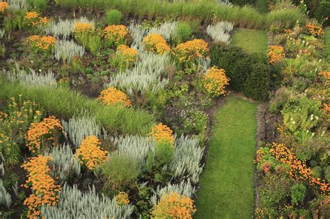 An A-Z List of Ornamental Grasses That Grow Well in the Shade ...