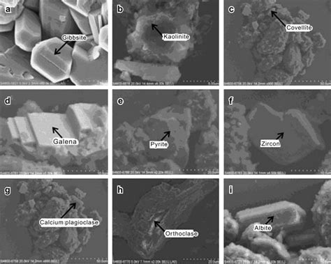 SEM images of typical minerals in bauxite: (a) gibbsite as the major ...