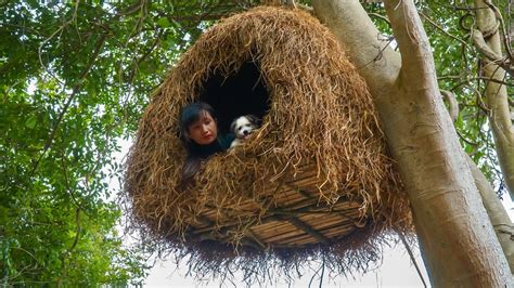 Building Bird Nest Tree House - YouTube