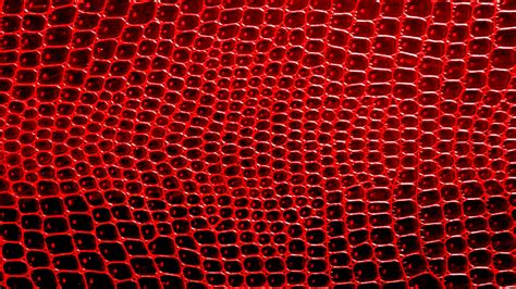 Red Crocodile Skin Background Free Stock Photo - Public Domain Pictures