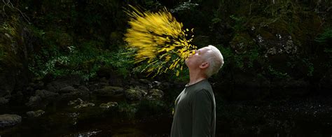 Andy Goldsworthy revisits his relationship with nature in new documentary