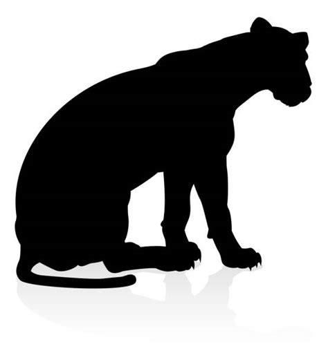 Mountain Lion Silhouette Illustrations, Royalty-Free Vector Graphics ...