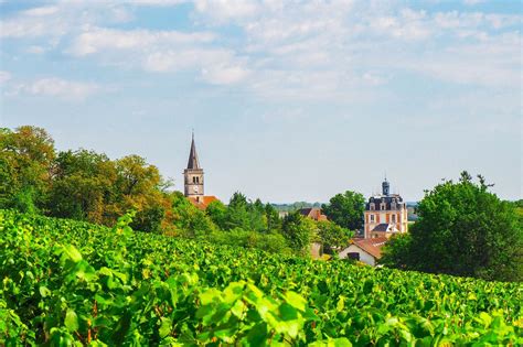 Private Côte de Beaune & Côte de Nuits Wine Tour from Dijon