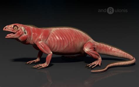 Iguana anatomy (side view) by Darius Andrulonis | Iguana, Lizard ...