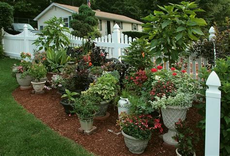 Container Gardening For The Renter | AHRN.com