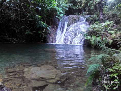 Mt. Binutasan + Batis Falls - Dainty Freckles