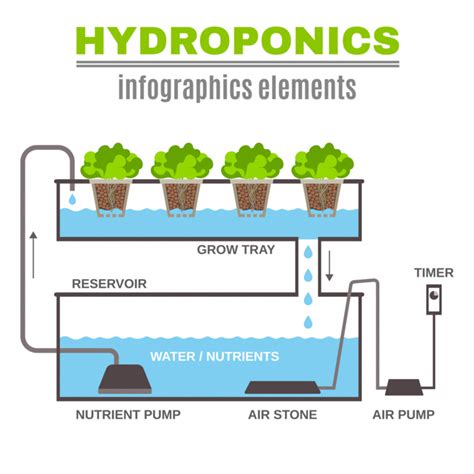 Understanding the elements of hydroponics is helpful in choosing the ...