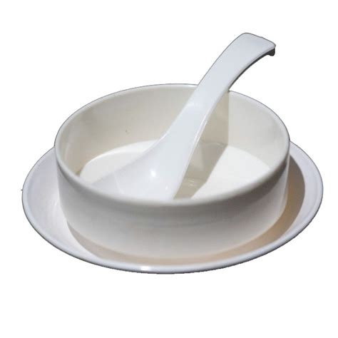 Buy Soup Bowl With Spoon & Plate - Made Of Plastic - Decornt.com