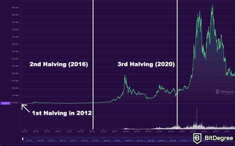 Bitcoin Halving 2024 Chart Live - Ilse Tamarra