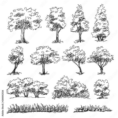 Set of hand drawn architect trees. Sketch Architectural illustration ...