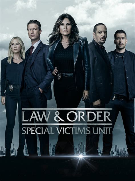 Law And Order: Special Victim's Unit Season 22 DVD | lupon.gov.ph