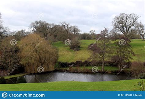 Benington Lordship Gardens Pond And Lawn Stock Image | CartoonDealer ...