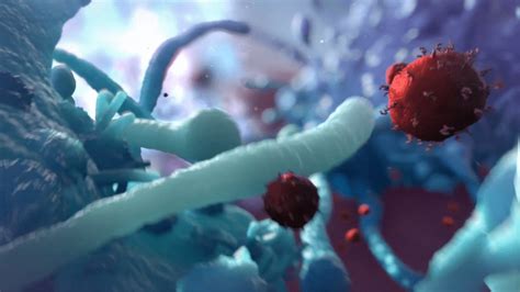 Innate Immune System Animation | XVIVO