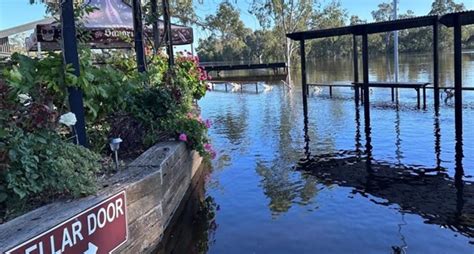 Caudo Vineyard's cellar door to stay shut after devastating flood ...