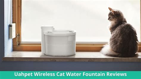 Uahpet Wireless Cat Water Fountain Reviews – Petshaunt