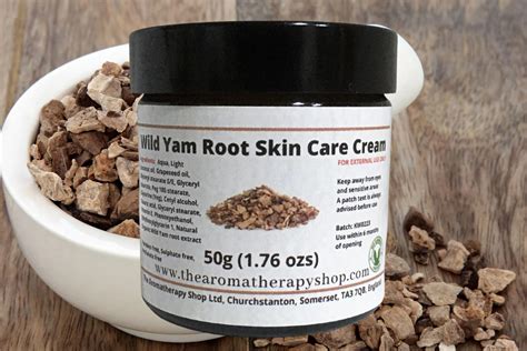 Wild Yam Cream / A natural skin care cream with organic wild yam root ...