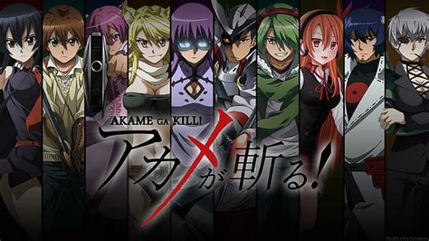 HD wallpaper: akame ga kill, night raid | Wallpaper Flare