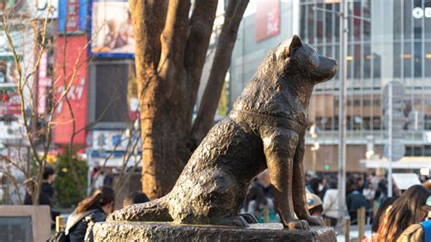 [B!] 渋谷のシンボル「ハチ公」が生誕100周年