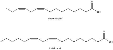 Essential Fatty Acid - Chemistry LibreTexts