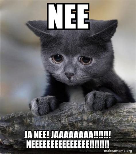 nee ja nee! jaaaaaaaa!!!!!!! neeeeeeeeeeeeeee!!!!!!!! - Confession Cat ...