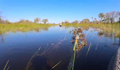 The best locations for Mokoro Canoe Safari with Africa Travel Resource