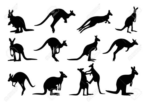 Collection of kangaroo silhouette. kangaroo silhouette , #AFFILIATE, # ...