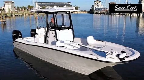 Sea Cat 260 Hybrid - YouTube