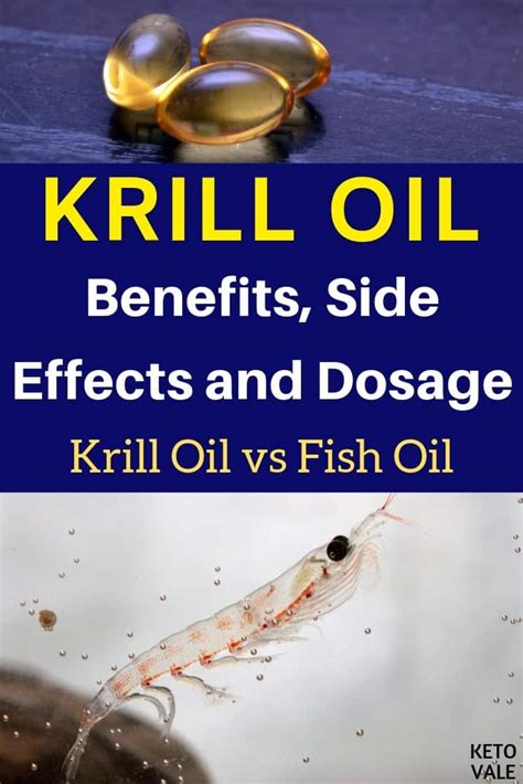 Krill Oil Benefits, Dosage, Side Effects vs Fish Oil