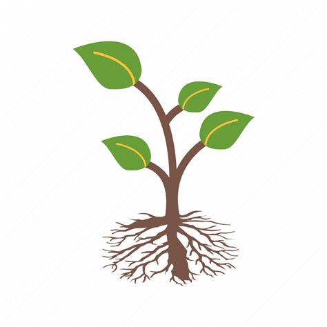 Plant, root, roots icon - Download on Iconfinder