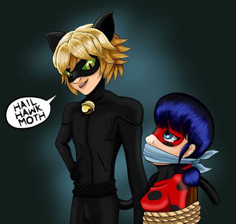 Miraculous Ladybug: Hail Hawk Moth by 3D4D on DeviantArt