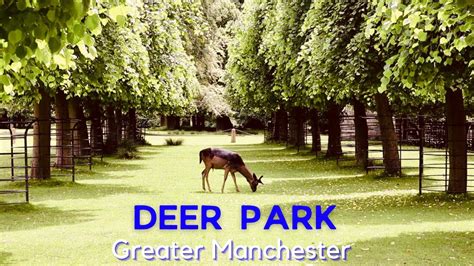 Dunham Massey Deer Park with Gardens & Historic Hall | Visit England ...