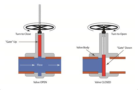 Manual Valves - Gate and Butterfly Valves | CTG Clean