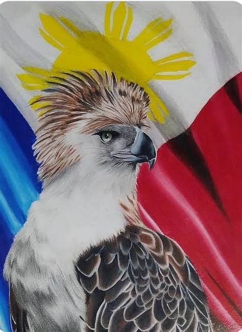 THE PHILIPPINE EAGLE | Pride