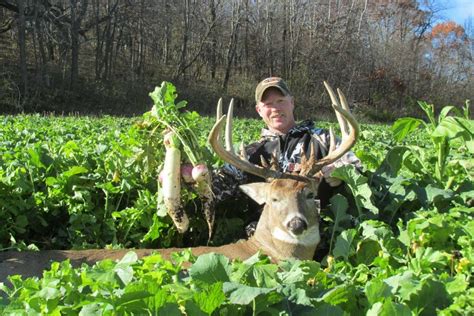 Tips for growing the best deer food plot - Very Weird News - Daily ...