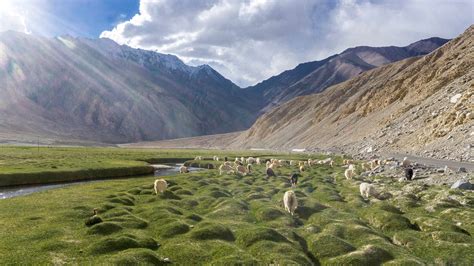 Nubra Valley - Naturecamp Travels