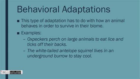 Types of Adaptations - YouTube