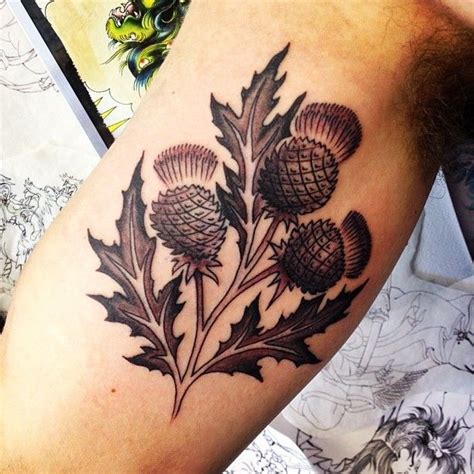 Best 25+ Scottish thistle tattoo ideas on Pinterest | Thistle tattoo ...