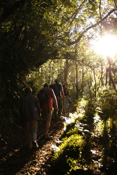 Hiking in Jamaica's Blue Mountains